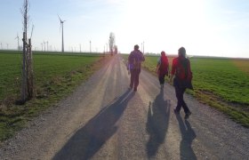 Hiking group on the Way of St. James, &copy; Donau Nieder&ouml;sterreich - Tourismusb&uuml;ro Carnuntum-Marchfeld