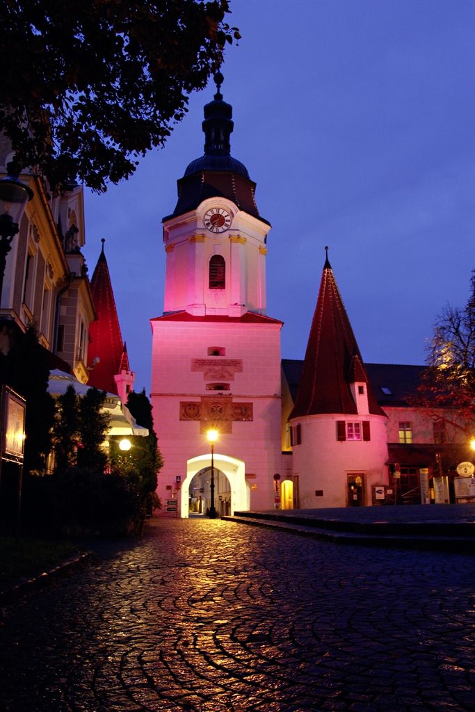 Steiner Tor bei Nacht