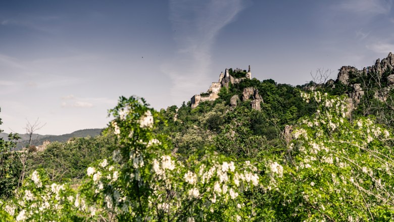 D&uuml;rnstein im Fr&uuml;hling, &copy; Robert Herbst
