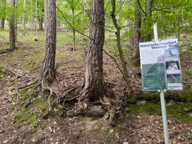 Steinige Ries nature reserve, &copy; Wachau Inside