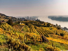 Autumn landscape around Krems, &copy; Robert Herbst