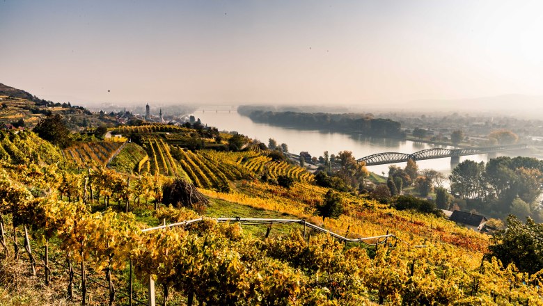 So viel Weinherbst, © Donau Niederösterreich, Robert Herbst