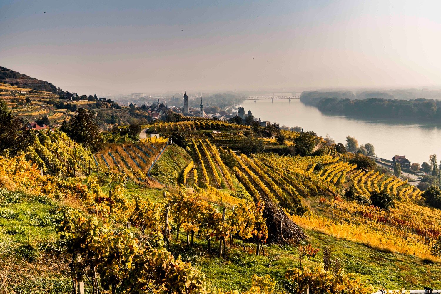 Herbstlandschaft rund um Krems