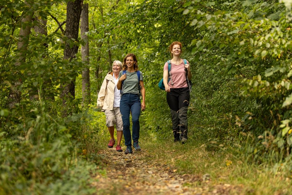 Durch den Wald