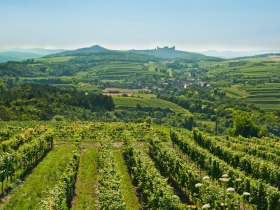 View of G&ouml;ttweig Abbey from the vineyards in Krustetten, &copy; Wachau-Nibelungengau-Kremstal