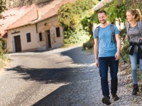 Hiking in the Rohrendorf wine cellar lane, &copy; Wachau-Nibelungengau-Kremstal
