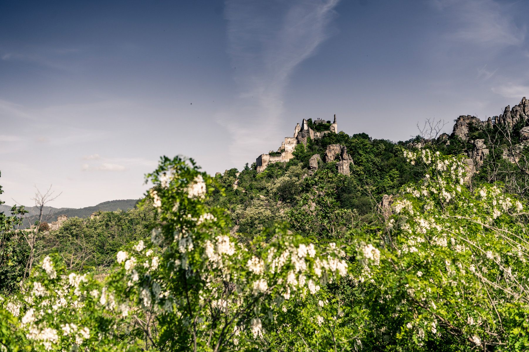 Dürnstein im Frühling