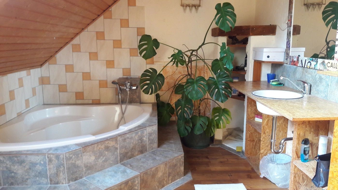 Badezimmer mit Eckbadewanne, Waschbecken und großer Pflanze.