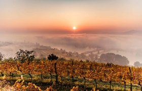 Oberhalb von Krems im Herbst, &copy; Robert Herbst