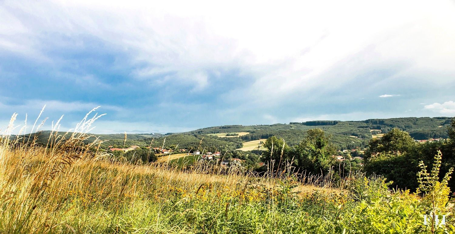 Landschaft bei Sieghartskirchen