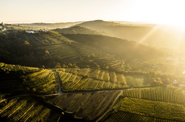 Regionen, &copy; Robert Herbst