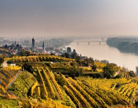 UNESCO Weltkulturerbe, &copy; Donau Nieder&ouml;sterreich, Robert Herbst