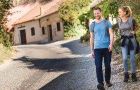 Hiking in the Rohrendorf wine cellar lane, &copy; Wachau-Nibelungengau-Kremstal