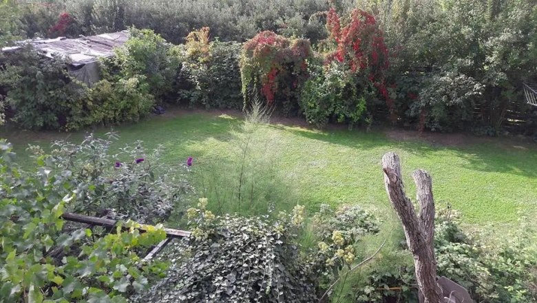 Garten von Herrn Paul Seel, &copy; Paul Seel