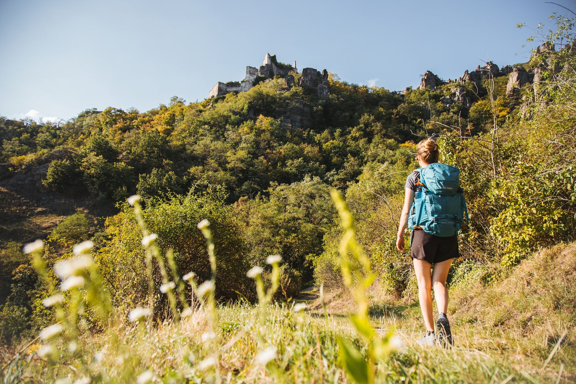 Am Weg zur Ruine Dürnstein