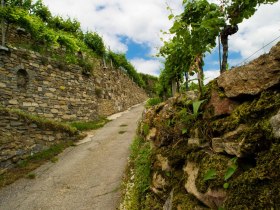 Stone terraces in the Wachau, &copy; Rita Newman