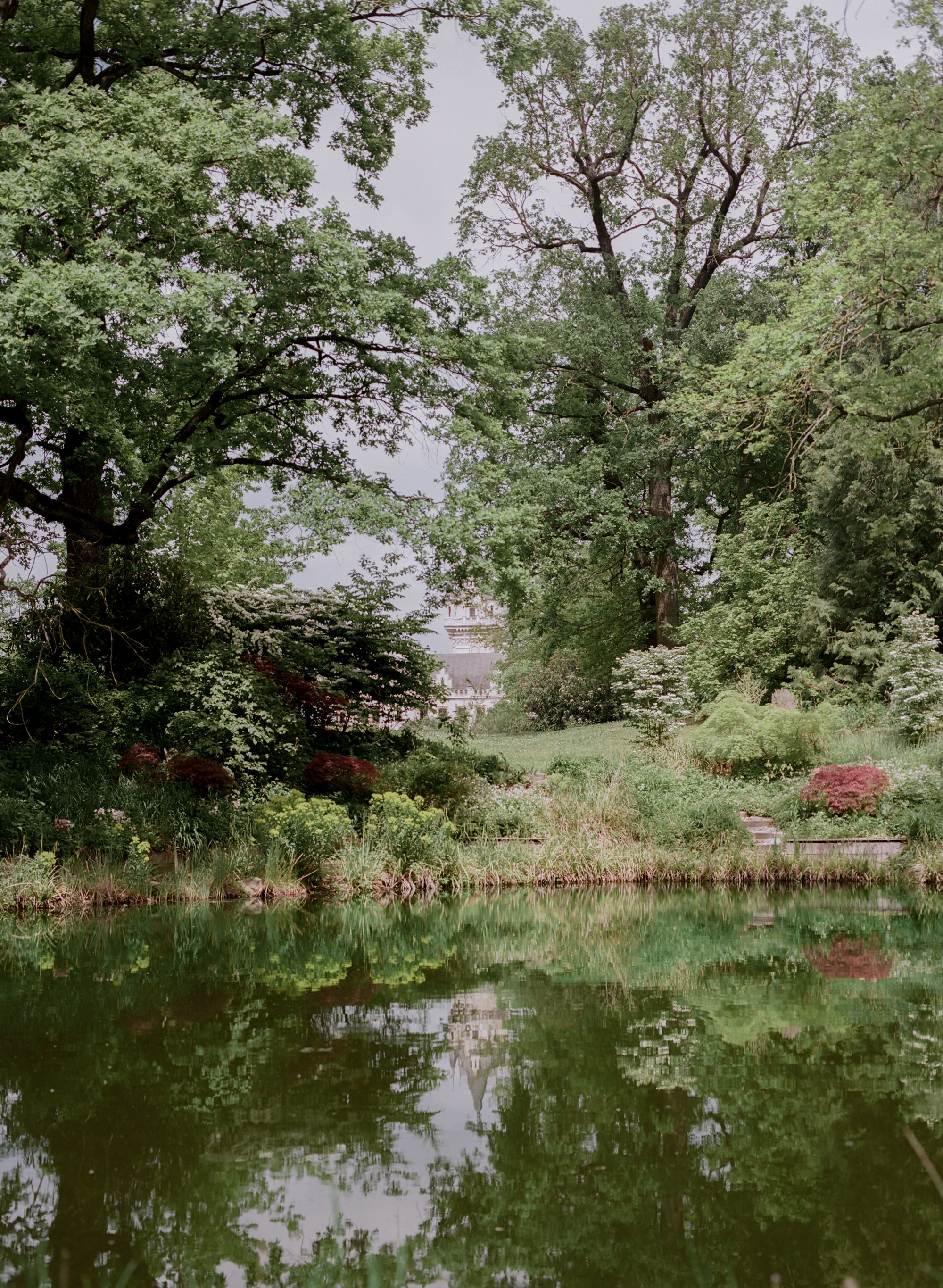 Ein Teich im Schlosspark mit üppiger Vegetation und einem Schloss im Hintergrund.