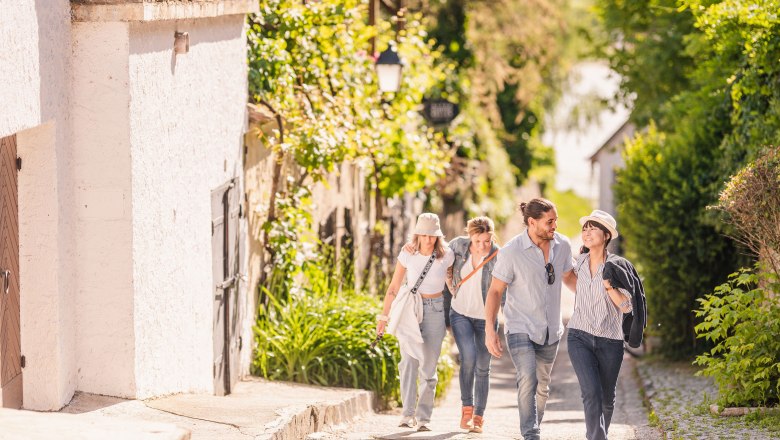 Donau Share, &copy; Die Abbilderei