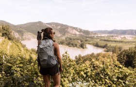 Welterbesteig Wachau, &copy; Donau Nieder&ouml;sterreich/Olga Brecht