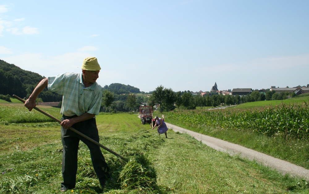 Heuarbeiten bei Maria Laach