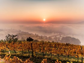 Above Krems in the fall, &copy; Robert Herbst