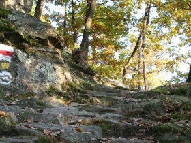 The Welterbesteig Wachau - Wachau World Heritage Trail on the Michaelerberg, &copy; Donau Nieder&ouml;sterreich/Gregor Semrad