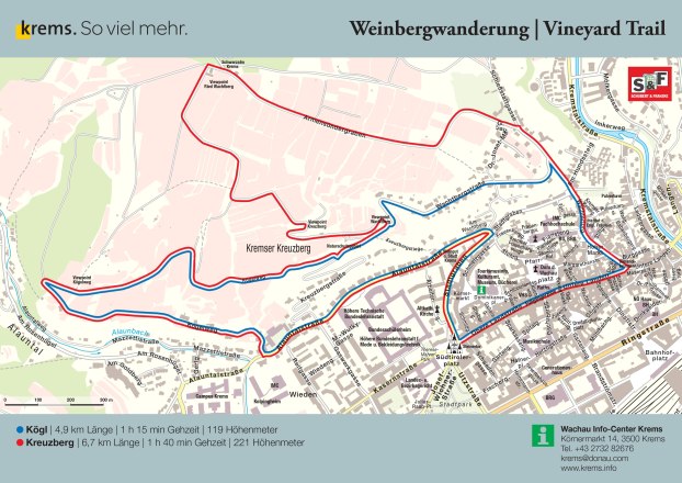 Weinbergwandern