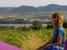 Aussicht vom Kuhberg in Krems, &copy; Wachau-Nibelungengau-Kremstal
