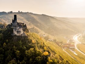 Ruine Senftenberg, &copy; Robert Herbst