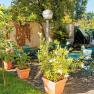 A sunny garden with green chairs, tables and plants in pots on a paved terrace.
