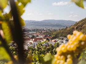 View of Krems-Stein, &copy; Wachau-Nibelungengau-Kremstal