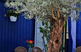 Taverne Zorbas, &copy; Taverne Zorbas